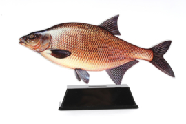 Vistrofee Real Fish – Brasem 18 cm
