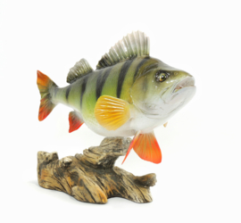 3D Real Fish Trophy Baars 34 cm Levensecht Beeld Baarsbeeld