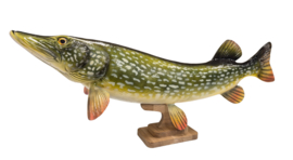 3D Real Fish Trophy Snoek 103 cm Levensecht XXL Beeld Snoekbeeld Trofee Prijs Snoekwedstrijd Cadeau