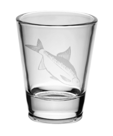 Set 6 x Shotglaasjes Karper + Baars + Brasem + Snoek + Snoekbaars + Meerval Vis Shotglazen Viscadeau