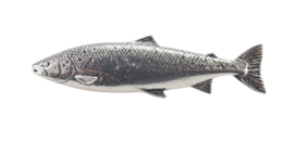 Visspeld Zalm Speldje Zalmspeld Vis Vissen Broche Kraag Speld Hoed Vliegvissen Salmon Fly Vlieg Pin