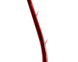 10 x Paling Onderlijn 70 cm 30/00 Haakmaat 4 Rode Haak Aal Palinghaak Palinghaken Palingonderlijnen