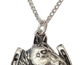 Hanger Hoefijzer Paard Gelukshanger Paardenhoofd + Ketting Zilver 45 cm (Dames) Paardenhanger Geluk