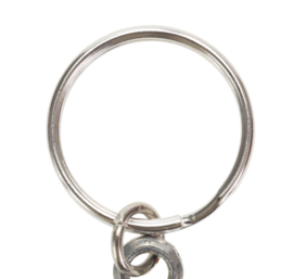 Sleutelhanger Kunstvlieg Vissen Vliegvissen Keyring Fly Fishing Sleutelhangers Vlieg Forel Vis