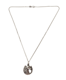 Hanger Hoefijzer Paard Gelukshanger Paardenhoofd + Ketting Zilver 45 cm (Dames) Paardenhanger Geluk