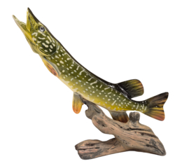 3D Real Fish Trophy Snoek 48 cm Levensecht Beeld Snoekbeeld Trofee Visbeker Sokkel Groen Natuurlijk
