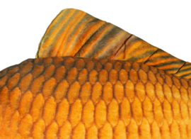 Viskussen Karel Karper 60 cm Pluche Vis Kussen Knuffel Karperknuffel Hoofdkussen Karperkussen Goud