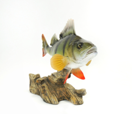3D Real Fish Trophy Baars 28 cm Levensecht Beeld Baarsbeeld