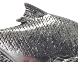 Visspeld Brasem Speldje Brasemspeld Vis Vissen Witvis Witvissen Feeder Speld Sierspeld Bream Pin