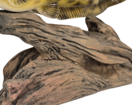 3D Real Fish Trophy Meerval 30 cm Levensecht Beeld Meervalbeeld Trofee Visbeker Sokkel Natuurlijk