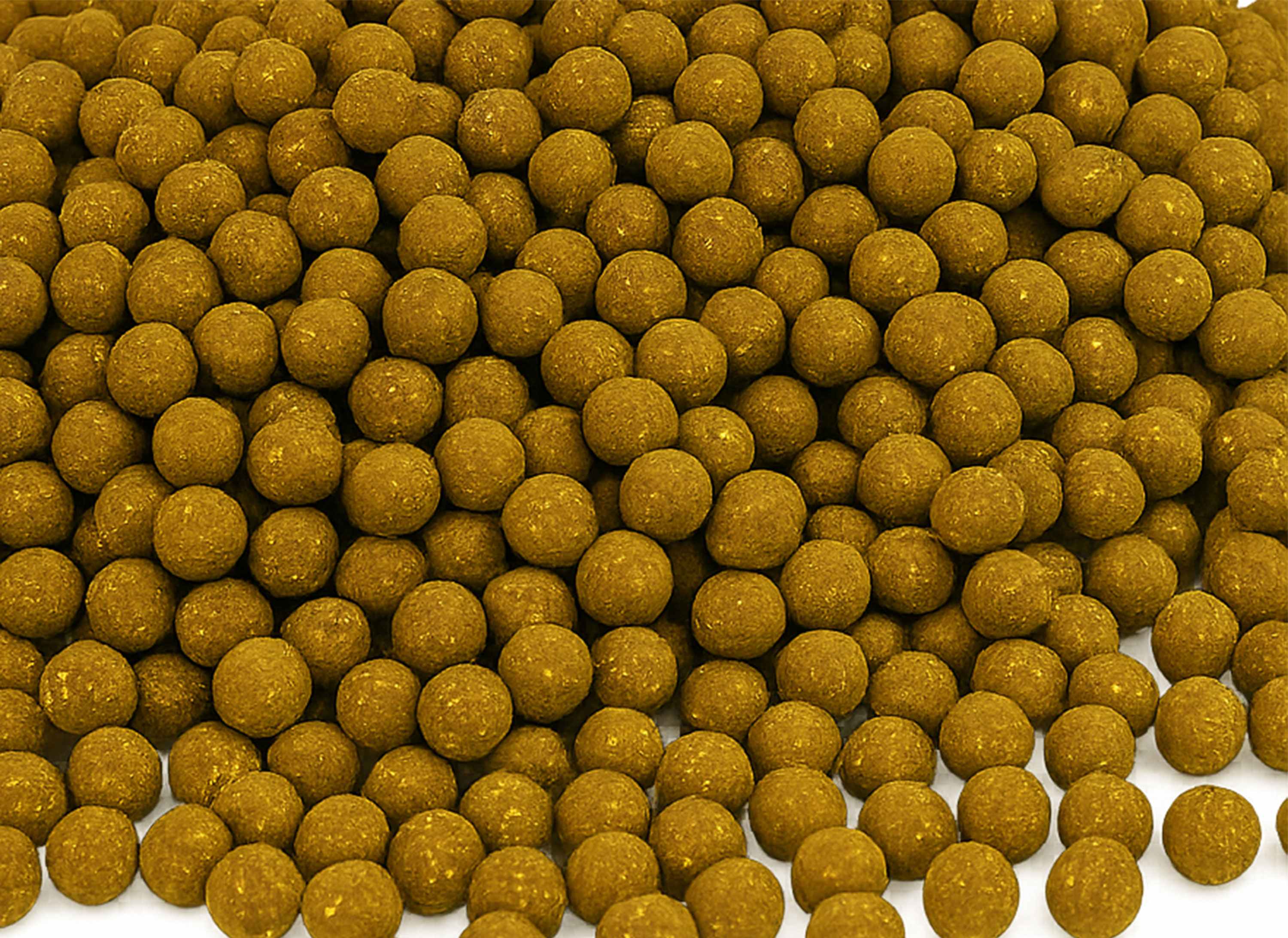 Faith A-Prime Boilies 5 kg Scopex Royale 20 mm - Met Verse Eieren - High Energie Natuurlijk Houdbaar