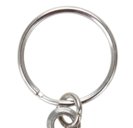 Vis Sleutelhanger Snoekbaars Sleutelhangers Vissen Snoekbaarzen Snoek Baars Zander Fishing Keyring