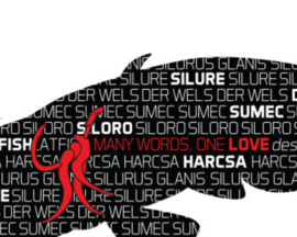 Vissticker Meerval 9 x 5 cm Silure Sumec Silurus Glanis Catfish Siloro Harcsa Zwart Rood Contour