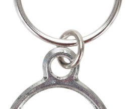 Vis Sleutelhanger Karper Schubkarper Sleutelhangers Vissen Karpers Schub Karper Carp Fishing Keyring