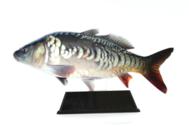 Vistrofee Real Fish - Spiegelkarper 15 cm