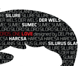 Vissticker Meerval 9 x 5 cm Silure Sumec Silurus Glanis Catfish Siloro Harcsa Zwart Rood Contour