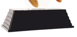 Real Fish Trofee Spiegelkarper 23 cm Vis Prijs Karper Karperwedstrijd Fish Trophy Vistrofee Visprijs