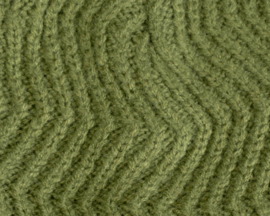 Carp Trax Comfort Warme Winter Beanie Gebreide Wintermuts Karper Thermo Muts Groen Zwart Vismuts