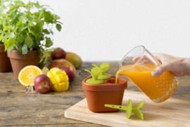 Veggie Pop IJslollyvorm Groente Fruit IJsje