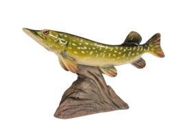 3D Real Fish Trophy Snoek 30 cm Levensecht Beeld Snoekbeeld Trofee Visbeker Sokkel Groen Natuurlijk