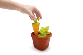 Veggie Pop IJslollyvorm Groente Fruit IJsje