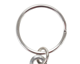 Vis Sleutelhanger Karper Schubkarper Sleutelhangers Vissen Karpers Schub Karper Carp Fishing Keyring