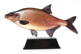 Vistrofee Real Fish – Brasem 21 cm