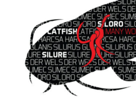 Vissticker Meerval 9 x 5 cm Silure Sumec Silurus Glanis Catfish Siloro Harcsa Zwart Rood Contour