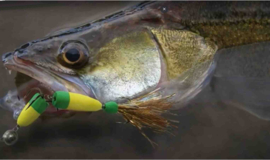 Mandala Foamshad Zwart-Wit + Red Head 13 gram Shad Dressuurdoorbrekend Snoekbaars Snoek Kunstaas Vis