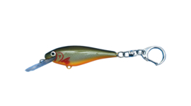 Vis Plug Sleutelhanger Magic Minnow Viscadeautje