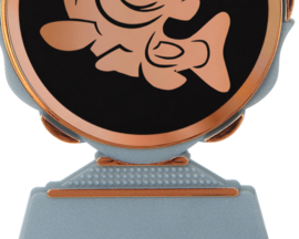 Basic Fish Trophy 13 cm Brons Kunststof 3e Prijs Trofee Vissen Vis Jeugd Viswedstrijd Wedstrijdprijs