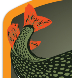 Vissticker Catch Me! Snoek 9 x 8 cm Contour Vis Sticker Vrijstaand Roofvis Vissen Snoeksticker Auto