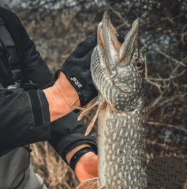 2 x Extreme Catfish Meerval Handschoenen L/XL Extra Grip Landingshandschoenen Roofvishandschoenen