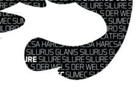 Vissticker Meerval 9 x 5 cm Silure Sumec Silurus Glanis Catfish Siloro Harcsa Zwart Rood Contour