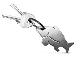 Vis Sleutelhanger Karper + Flesopener RVS Keyring Carp Fles Opener Viscadeau Vissen Cadeau Visser