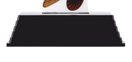 Real Fish Trofee Carp Art 17 cm Vis Prijs Karper Karperwedstrijd Fish Trophy Vistrofee Visprijs