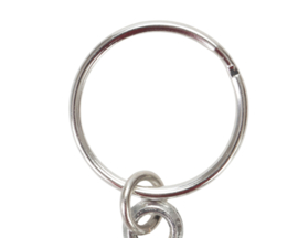 Sleutelhanger Forel Vissen Forelvissen Vliegvissen Keyring Fly Fishing Sleutelhangers Vlieg Vis