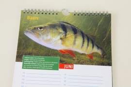 Verjaardagskalender Nederlandse Zoetwatervissen