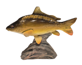 3D Real Fish Trophy Carp 26 cm Levensecht Karperbeeld Beeld Karper Trofee Prijs Karperwedstrijd Vis