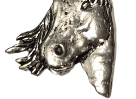 Hanger Paard Paardenhoofd + Ketting Zilver 45 cm (Dames) Paardenhanger Halsketting Zilver Paarden