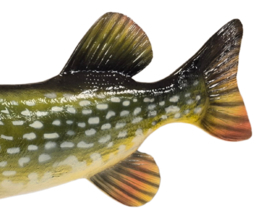 3D Real Fish Trophy Snoek 103 cm Levensecht XXL Beeld Snoekbeeld Trofee Prijs Snoekwedstrijd Cadeau