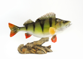 3D Real Fish Trophy Baars 34 cm Levensecht Beeld Baarsbeeld