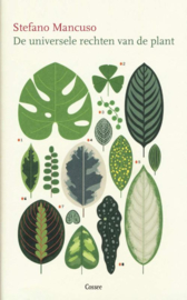 De universele rechten van de plant / Stefano Mancuso