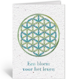 Levensbloem, plant-je kaart