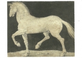 Dravende hengst, Albrecht Dürer