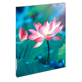 Blankbook Tushita, Pure lotus