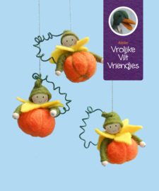 Pompoen bolletjes (zelfmaakpakketje)