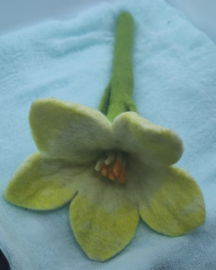 Bloem geel/licht geel