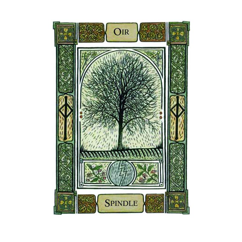 The Celtic Tree Oracle / Liz and Collin Murray