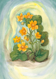 Dotterbloem, Margret von Borstel